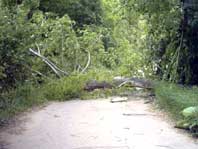 E- 210504-1 E- 210504-1