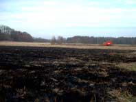 Flächenbrand 040301-1 Flächenbrand 040301-1