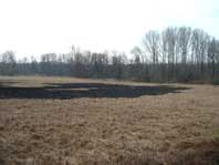 Flächenbrand 040301-3 Flächenbrand 040301-3
