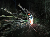 20231224-Baum-1A 20231224-Baum-1A
