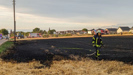 Flchenbrand-Fohlenhof-2A