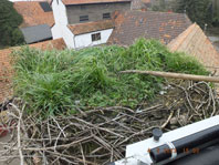 Storchennest-2A Storchennest-2A