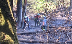Waldbrand-Rodalben-1A Waldbrand-Rodalben-1A