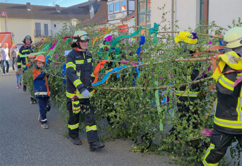 Maibaum-2026-03