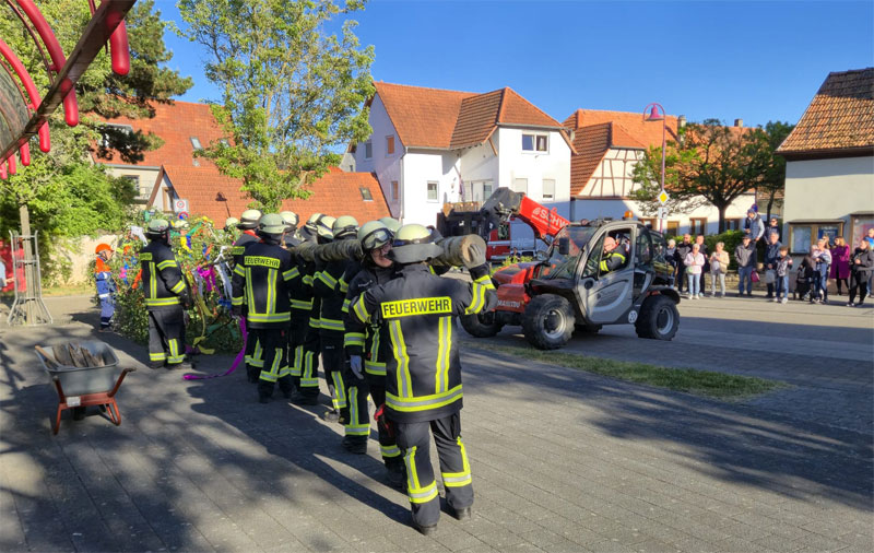 Maibaum-2026-05