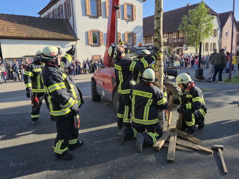 Maibaum-2026-07