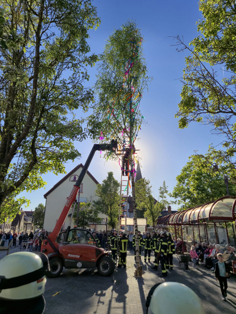 Maibaum-2026-10
