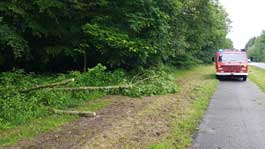 Baum-20240522-1A Baum-20240522-1A