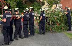 Maibaum1A Maibaum1A