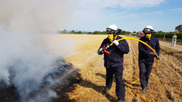 bung-KatS-Zug-Schwegenheim-2A